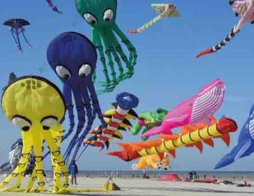 Escapade Berckoise, Berck Plage Esterno foto
