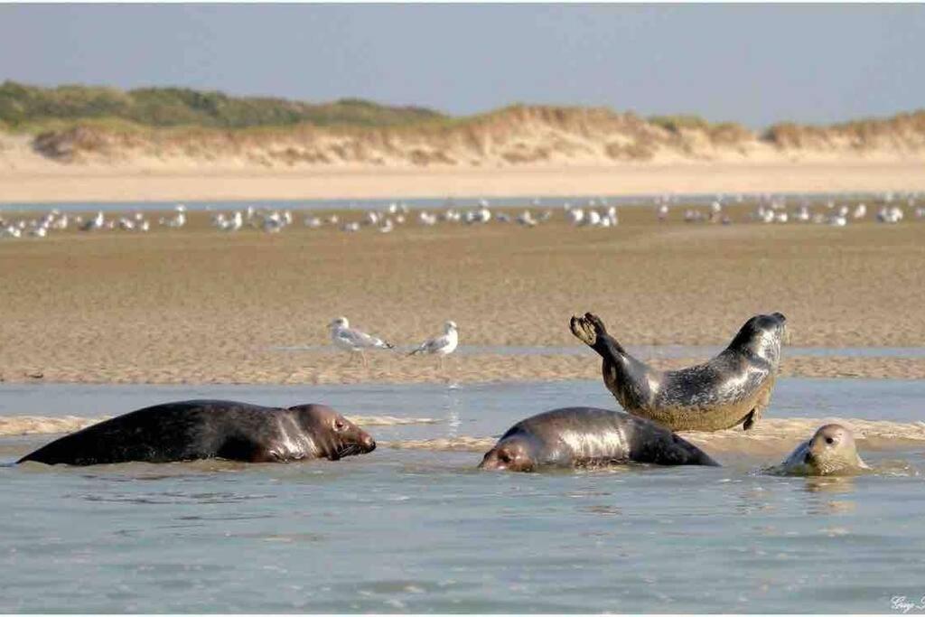 Escapade Berckoise, Berck Plage Esterno foto
