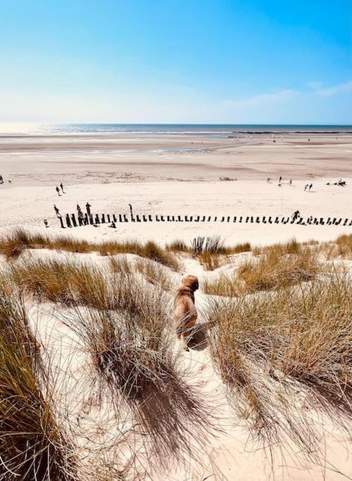 Escapade Berckoise, Berck Plage Esterno foto